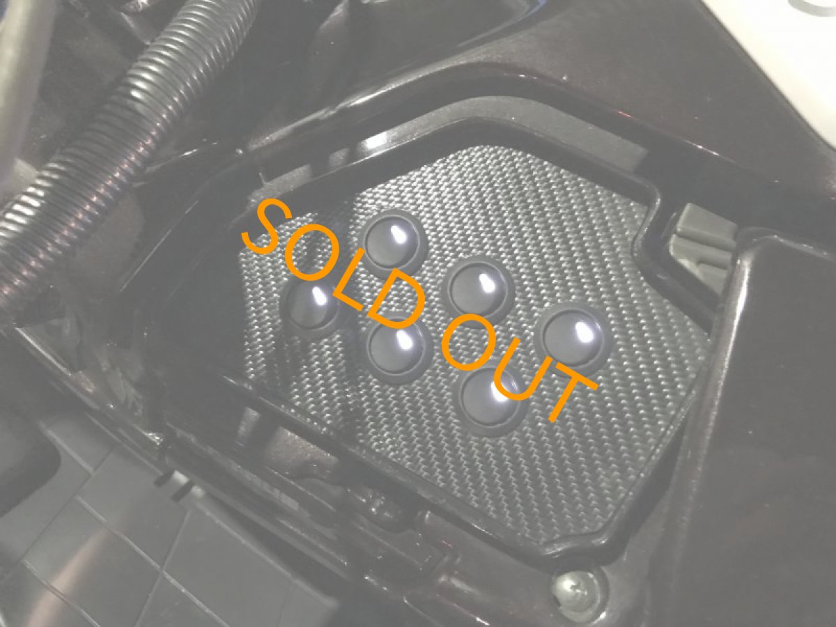 画像9: スカイウェイブ250  太足 マッドポッド エアサス  (9)