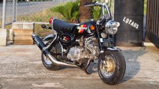 画像1: HONDA モンキー(Z50J) 5Lタンク12Vキット ワイドホイール 88ccボアアップ ヨシムラ カスタム (1)