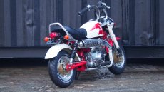 画像5: AB27 モンキー限定車！ロンスイローダウン　タケガワパーツ多数 ビックキャブ　TAKEGAWA88ccボアアップ カスタム (5)